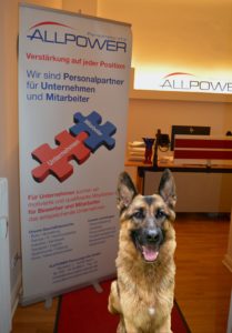 Hund-Remus