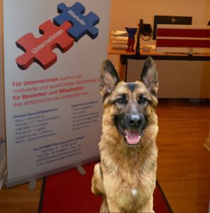 Hund-Remus
