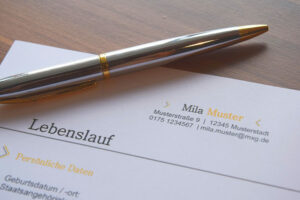 Lebenslauf